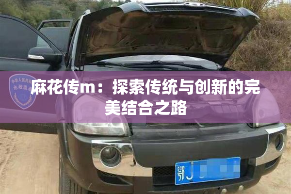 麻花传m：探索传统与创新的完美结合之路