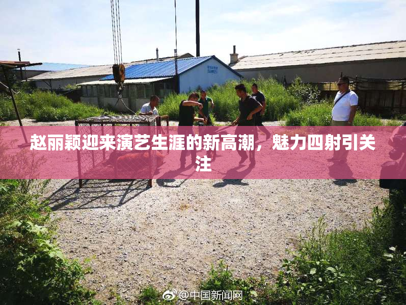 赵丽颖迎来演艺生涯的新高潮，魅力四射引关注