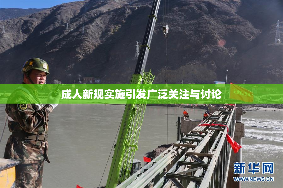 成人新规实施引发广泛关注与讨论