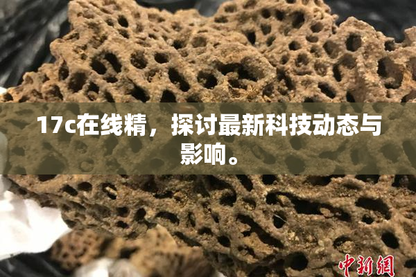 17c在线精，探讨最新科技动态与影响。