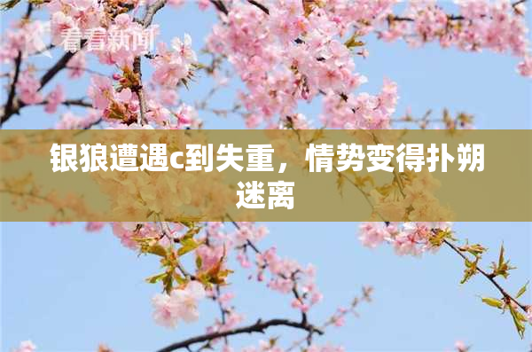 银狼遭遇c到失重，情势变得扑朔迷离