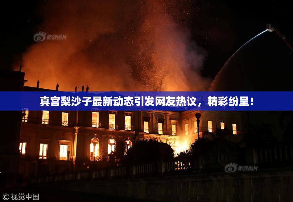 真宫梨沙子最新动态引发网友热议，精彩纷呈！
