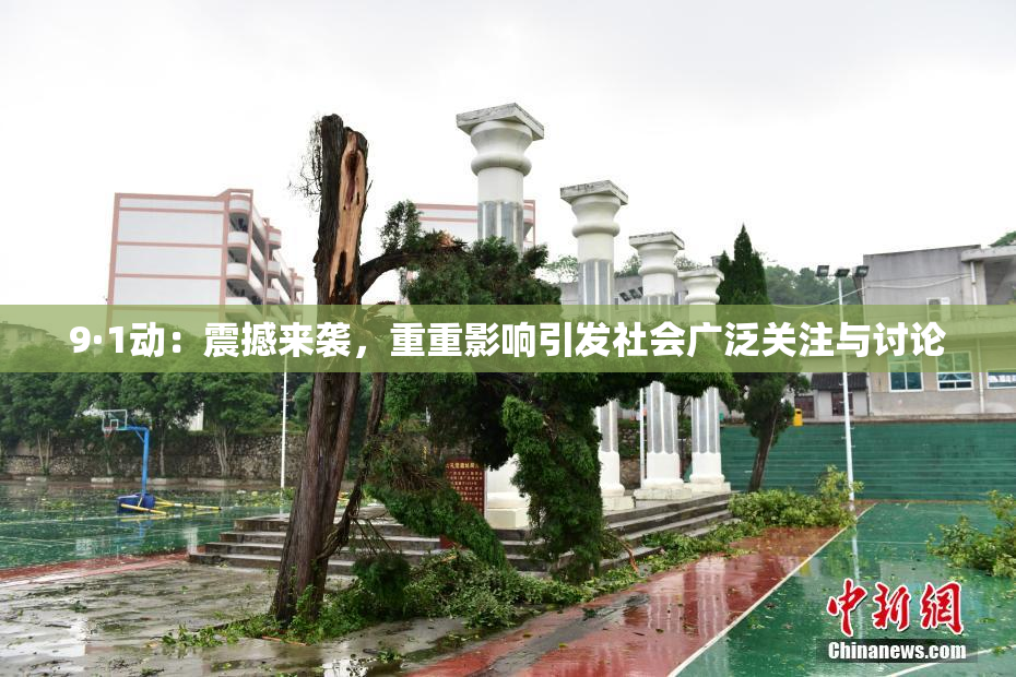 9·1动：震撼来袭，重重影响引发社会广泛关注与讨论