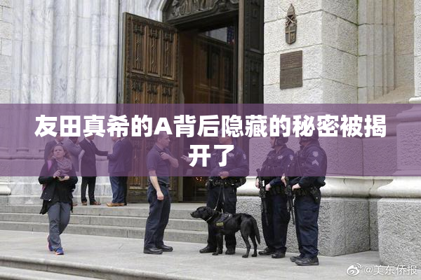 友田真希的A背后隐藏的秘密被揭开了