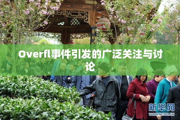 Overfl事件引发的广泛关注与讨论