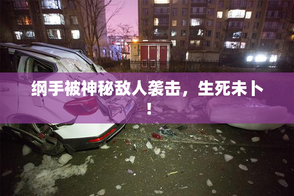 纲手被神秘敌人袭击，生死未卜！