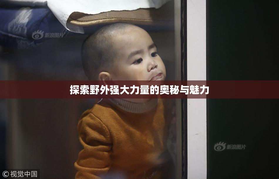 探索野外强大力量的奥秘与魅力