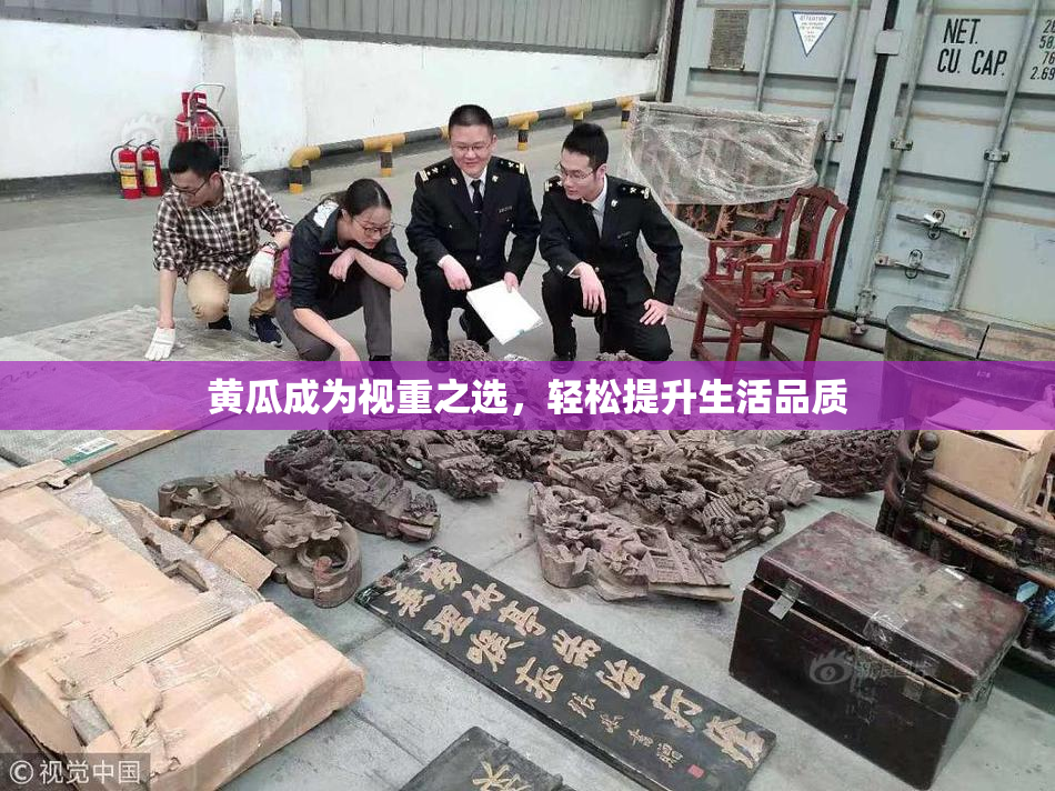 黄瓜成为视重之选，轻松提升生活品质