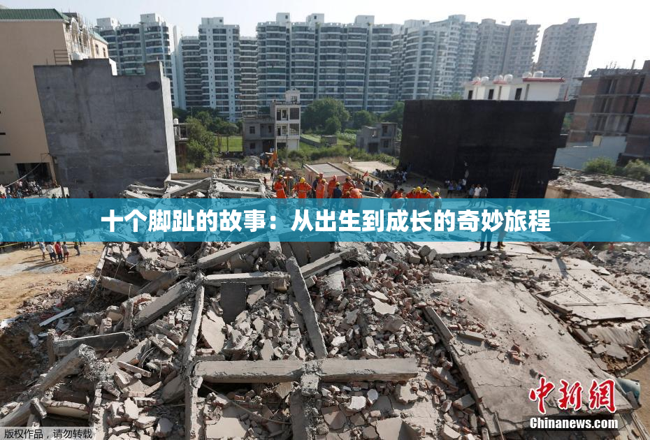 十个脚趾的故事：从出生到成长的奇妙旅程