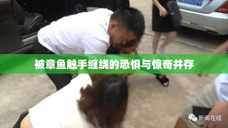 被章鱼触手缠绕的恐惧与惊奇并存