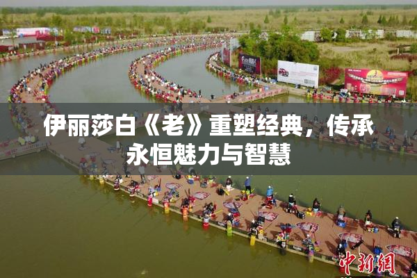 伊丽莎白《老》重塑经典，传承永恒魅力与智慧