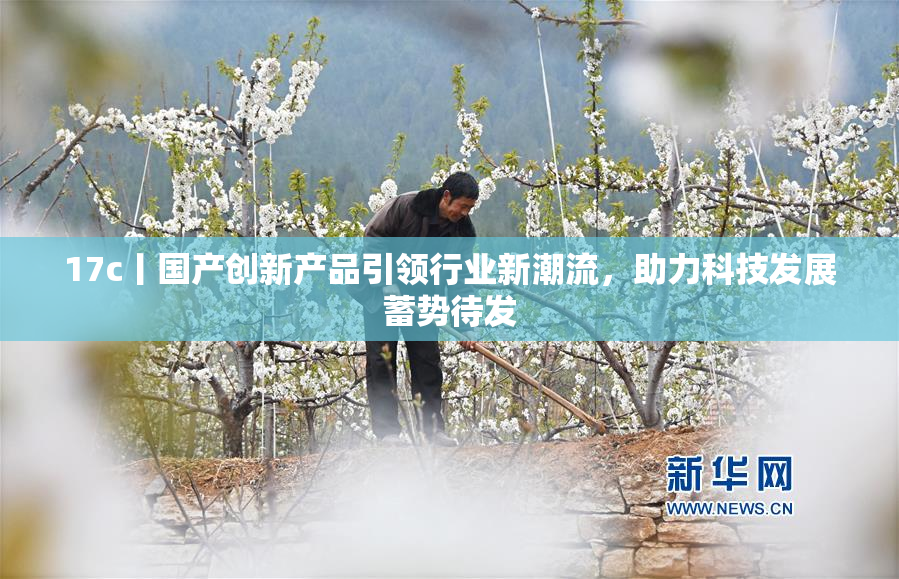 17c丨国产创新产品引领行业新潮流，助力科技发展蓄势待发