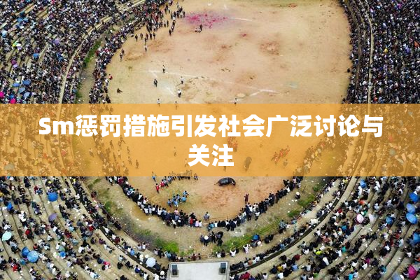 Sm惩罚措施引发社会广泛讨论与关注
