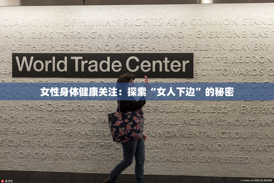 女性身体健康关注：探索“女人下边”的秘密