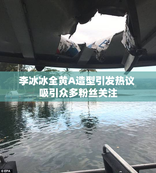 李冰冰全黄A造型引发热议 吸引众多粉丝关注