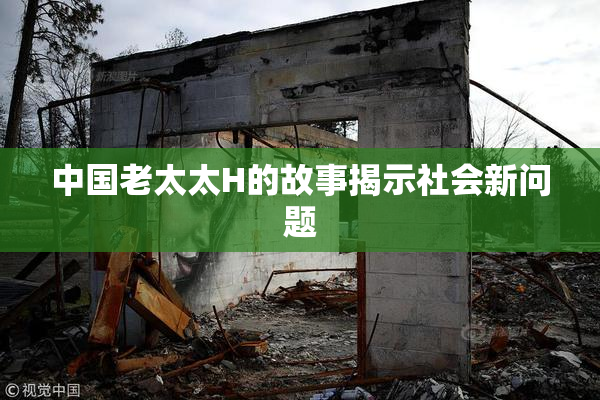中国老太太H的故事揭示社会新问题