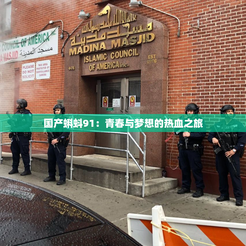 国产蝌蚪91：青春与梦想的热血之旅
