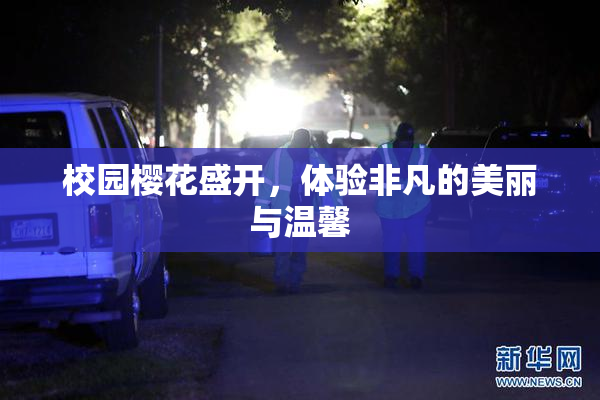 校园樱花盛开，体验非凡的美丽与温馨