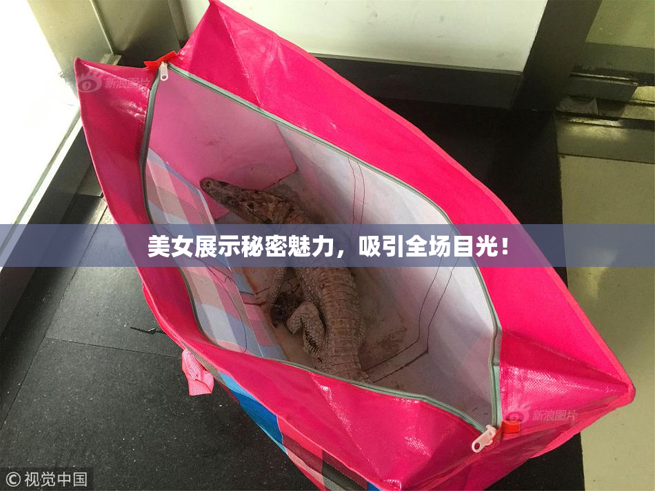 美女展示秘密魅力，吸引全场目光！