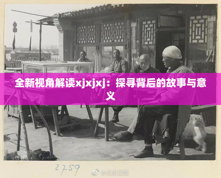 全新视角解读xjxjxj：探寻背后的故事与意义