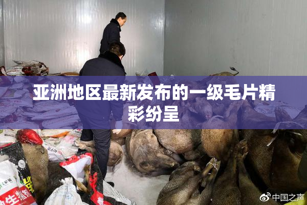 亚洲地区最新发布的一级毛片精彩纷呈