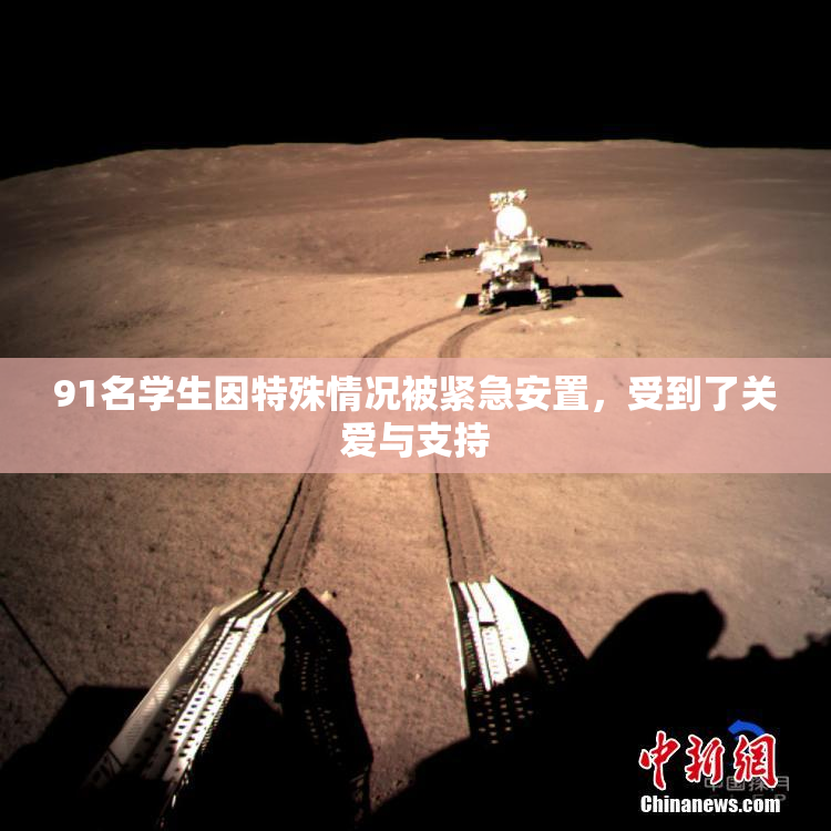 91名学生因特殊情况被紧急安置，受到了关爱与支持