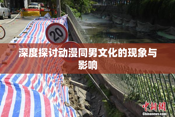 深度探讨动漫同男文化的现象与影响