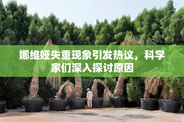 娜维娅失重现象引发热议，科学家们深入探讨原因