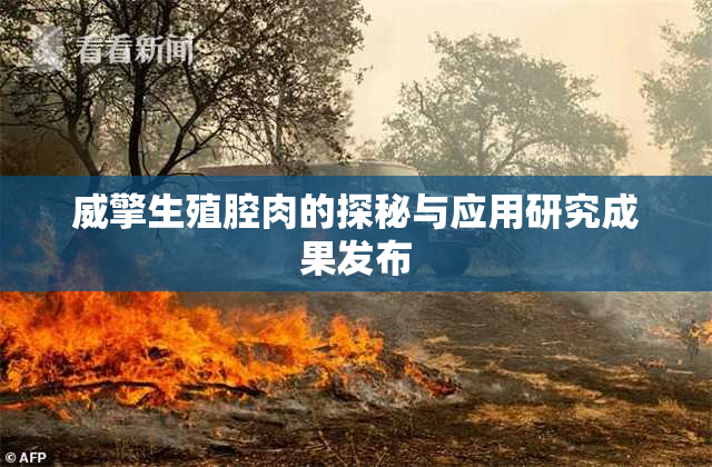 威擎生殖腔肉的探秘与应用研究成果发布