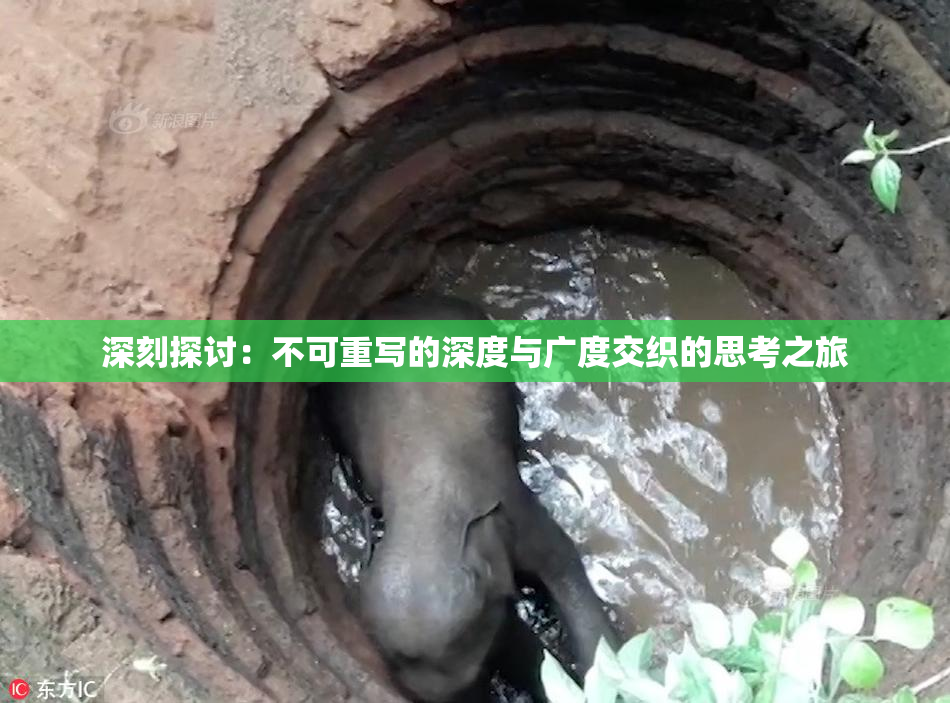 深刻探讨：不可重写的深度与广度交织的思考之旅
