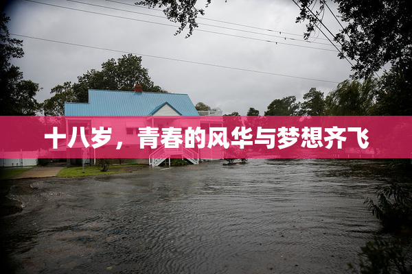 十八岁，青春的风华与梦想齐飞