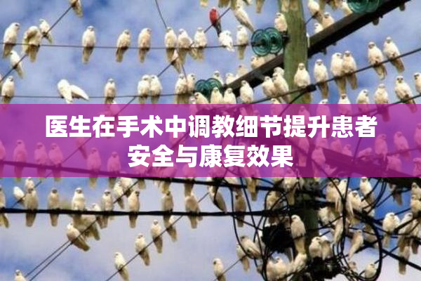医生在手术中调教细节提升患者安全与康复效果