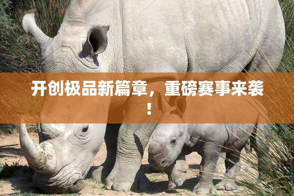 开创极品新篇章，重磅赛事来袭！