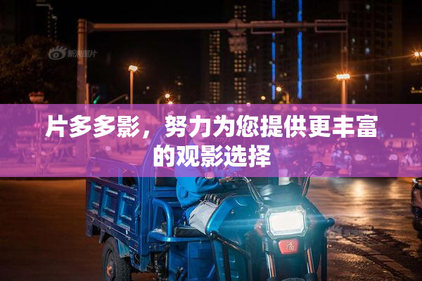 片多多影，努力为您提供更丰富的观影选择
