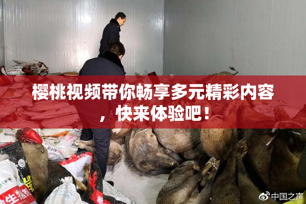 樱桃视频带你畅享多元精彩内容，快来体验吧！