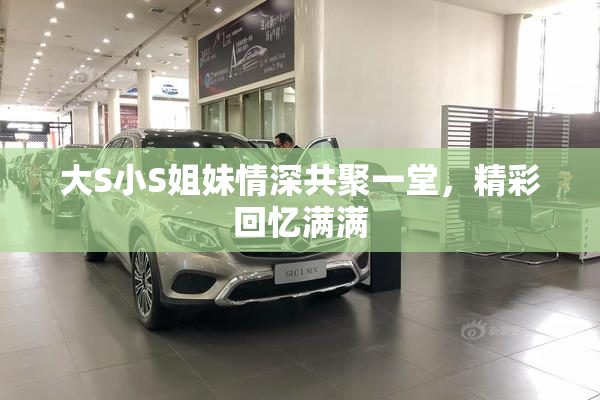 大S小S姐妹情深共聚一堂，精彩回忆满满