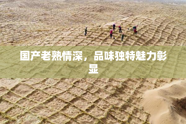 国产老熟情深，品味独特魅力彰显
