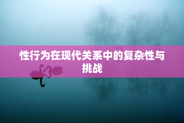 性行为在现代关系中的复杂性与挑战