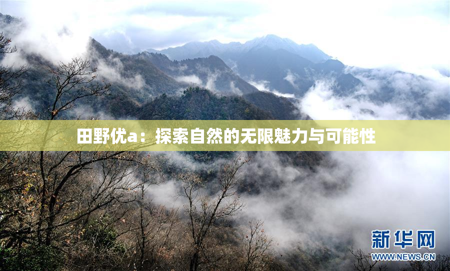 田野优a：探索自然的无限魅力与可能性