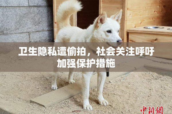 卫生隐私遭偷拍，社会关注呼吁加强保护措施