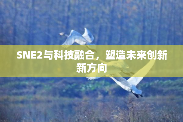 SNE2与科技融合，塑造未来创新新方向