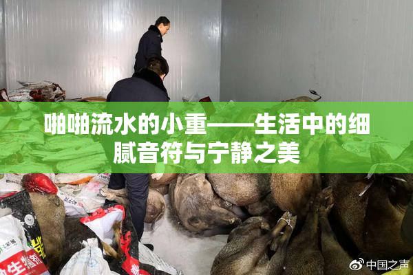 啪啪流水的小重——生活中的细腻音符与宁静之美