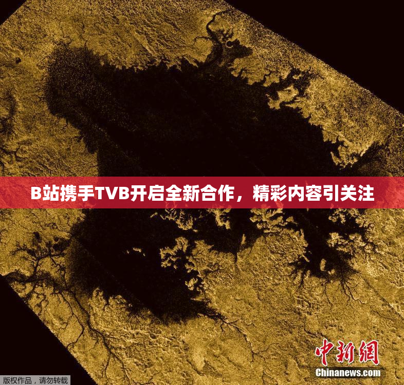 B站携手TVB开启全新合作，精彩内容引关注