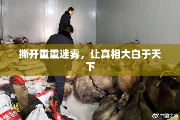 撕开重重迷雾，让真相大白于天下