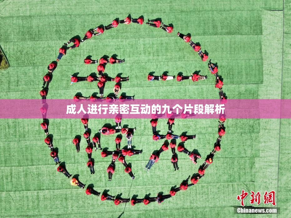 成人进行亲密互动的九个片段解析