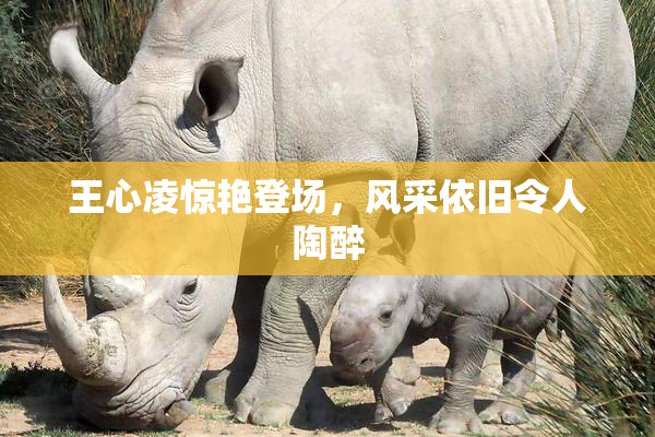 王心凌惊艳登场，风采依旧令人陶醉