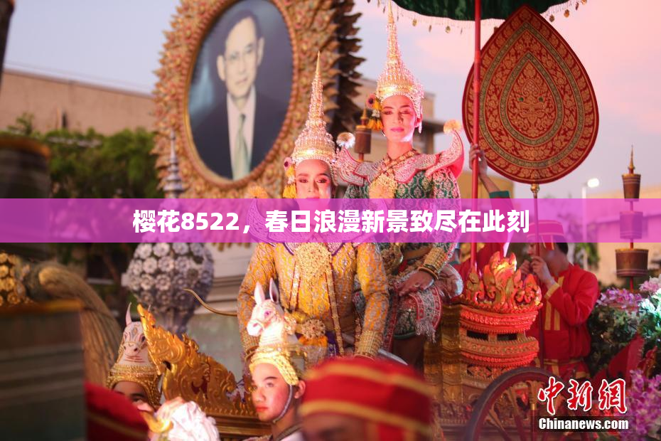 樱花8522，春日浪漫新景致尽在此刻
