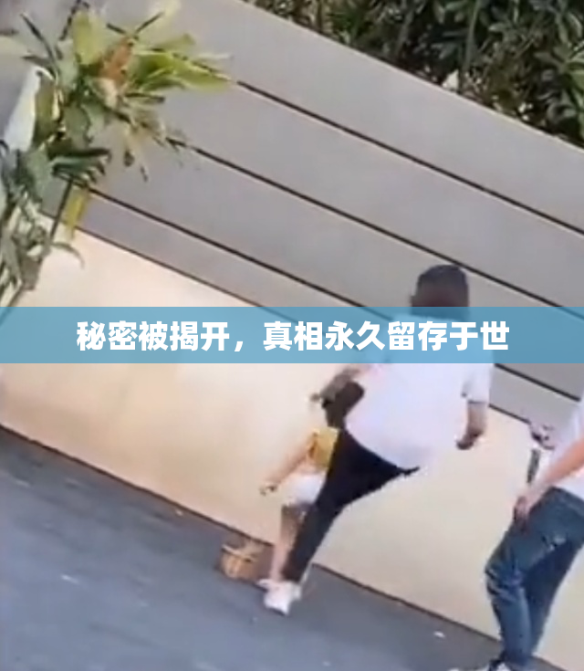 秘密被揭开，真相永久留存于世