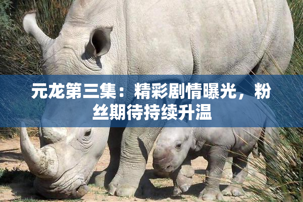 元龙第三集：精彩剧情曝光，粉丝期待持续升温