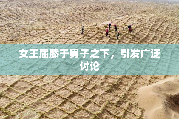 女王屈膝于男子之下，引发广泛讨论